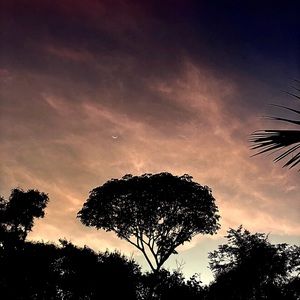 Meet your Posher, Vinud